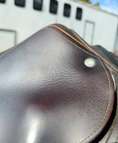 Selle Childeric 17'