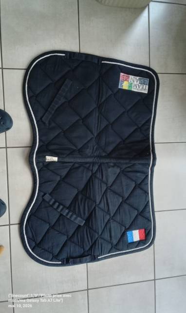 Tapis de dressage 