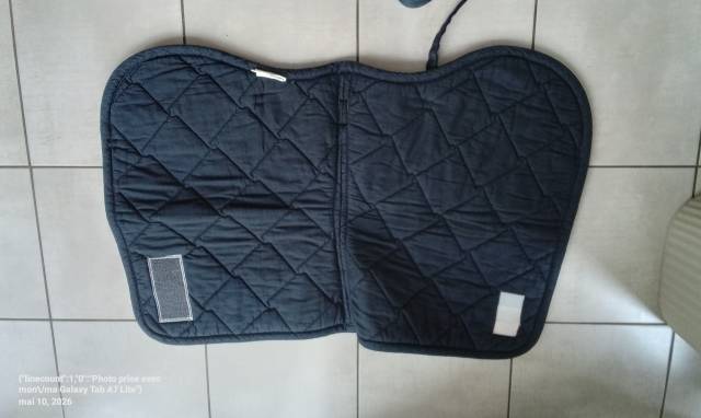 Tapis de dressage 