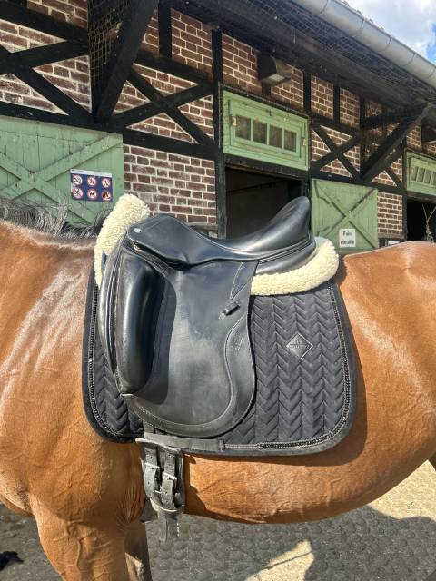 Selle de dressage CWD (prix n&eacute;gociable)