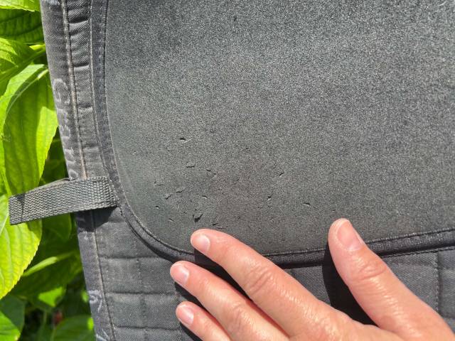 Selle BAREFOOT Mod&egrave;le LONDON T.2
