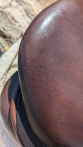 Selle Cavaletti 