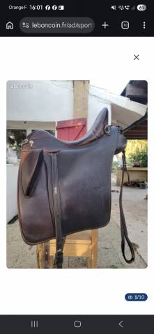 Selle zaldi drim lusitanus