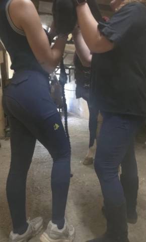 Pantalon &Eacute;quitation Taille Haute Gainant / Full Grip