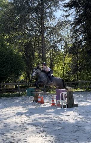 Gentil 6 ans polyvalent 