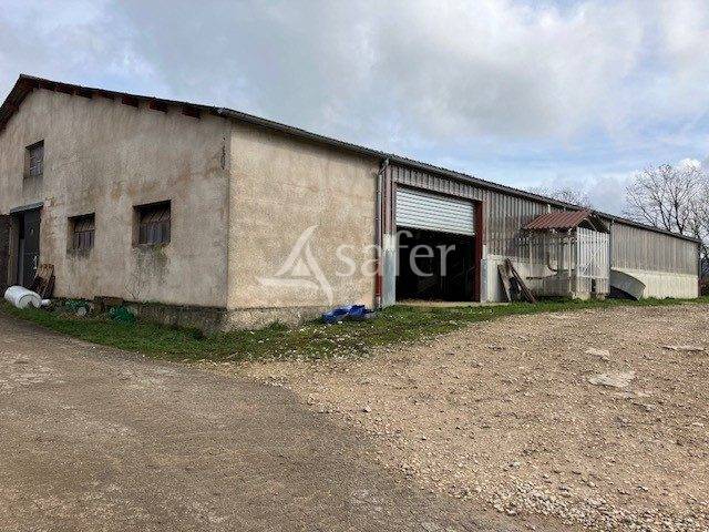 Exploitation lait aop comté