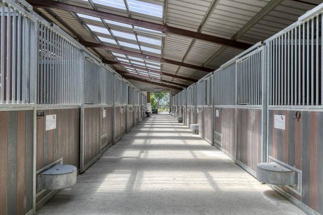 Domaine équestre de prestige avec hébergements et installation