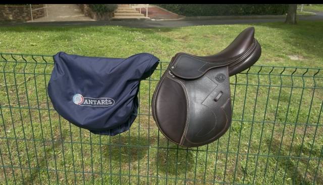 Selle antares signature