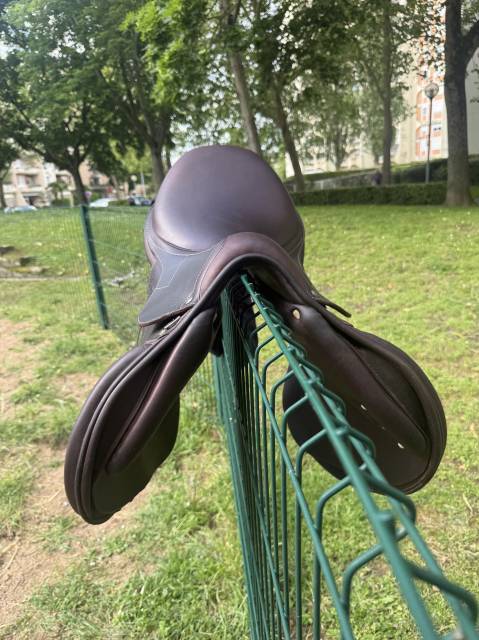 Selle antares signature