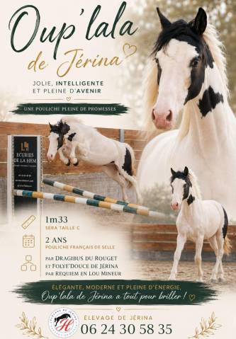 Magnifique ponette de 2 ans taille c