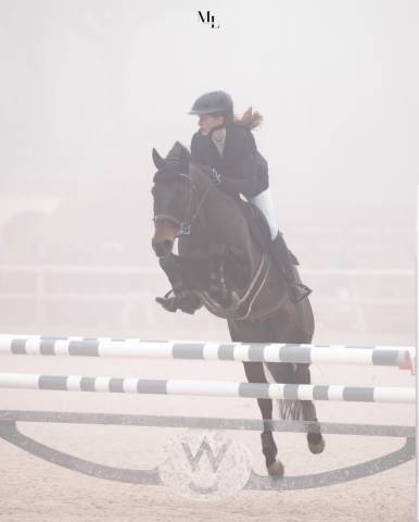 Poney à vendre ‼️