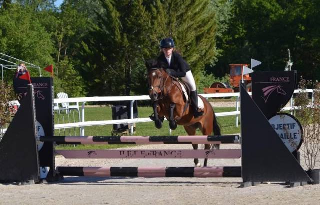 Ponette, new forest de 5 ans