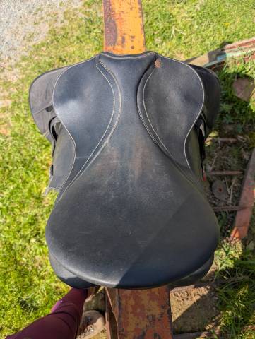 selle wintec 250