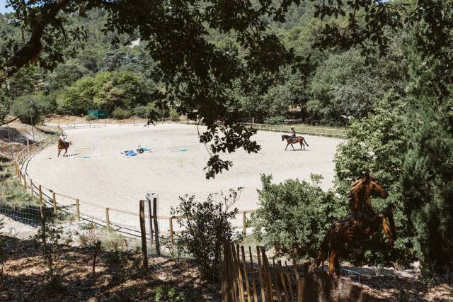 L'excellence équestre et art de vivre provençal