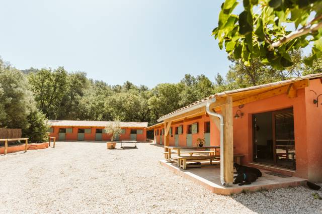 L'excellence équestre et art de vivre provençal