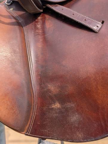 Selle mixte Belloir Saumur 