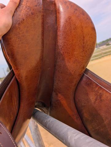 Selle mixte Belloir Saumur 