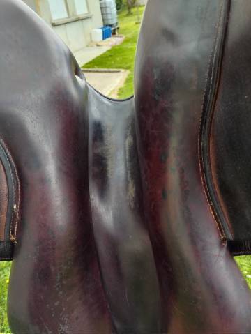 Selle cwd