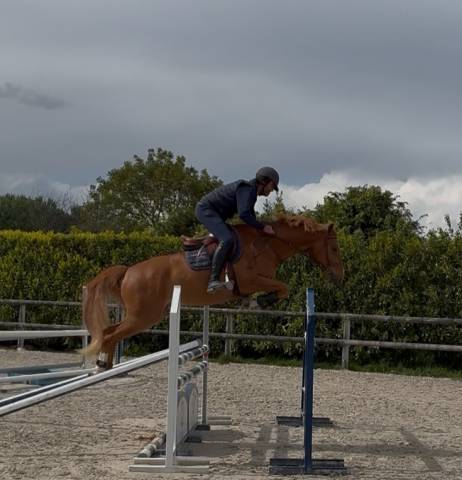 Tarzan - un partenaire sportif chic et facile 
