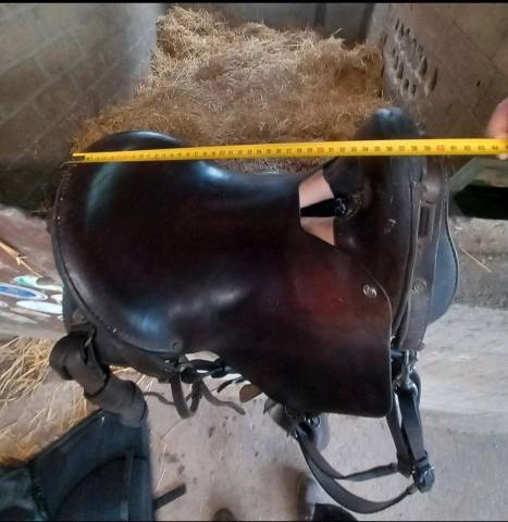 Selle type Mac lellan