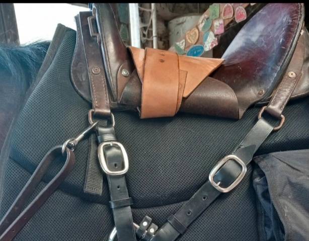 Selle type Mac lellan