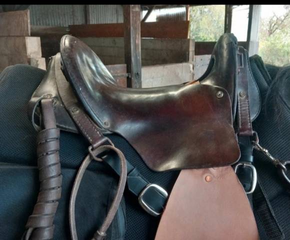 Selle type Mac lellan