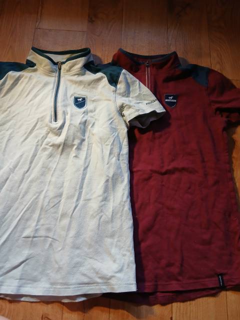 2 polo dechatlon bordeaux et bleu/vert 
