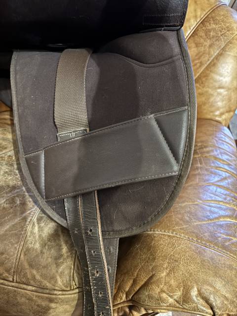 Selle australienne stock