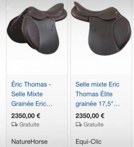 Selle Eric Thomas 17 pouces mixte 