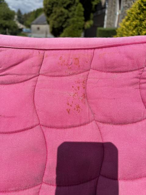 Tapis taille cheval/full