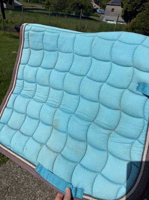 Tapis taille full/cheval