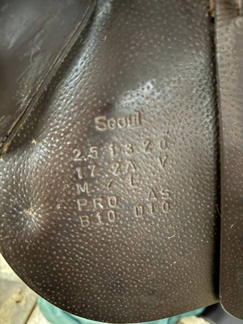 Selle forestier séoul 17 2025