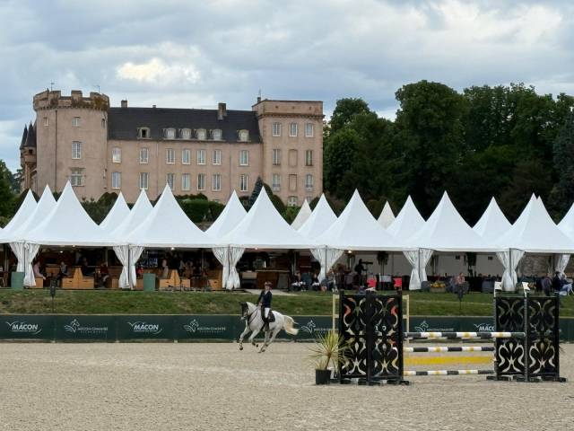 Poney d’as à vendre 