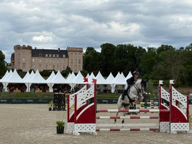 Poney cso à vendre