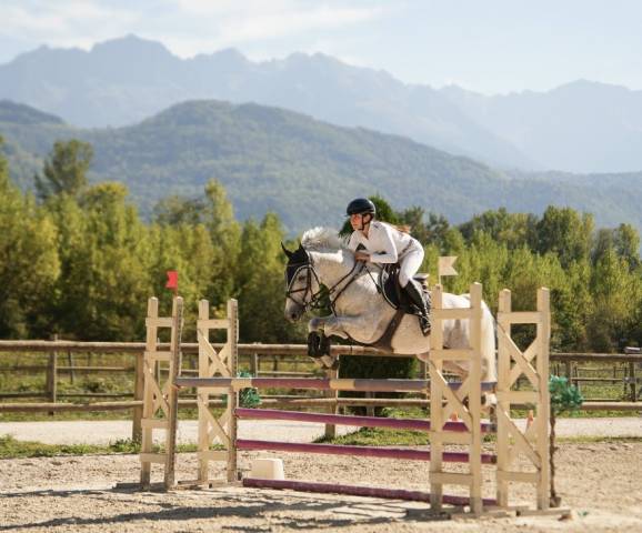 Poney cso à vendre 