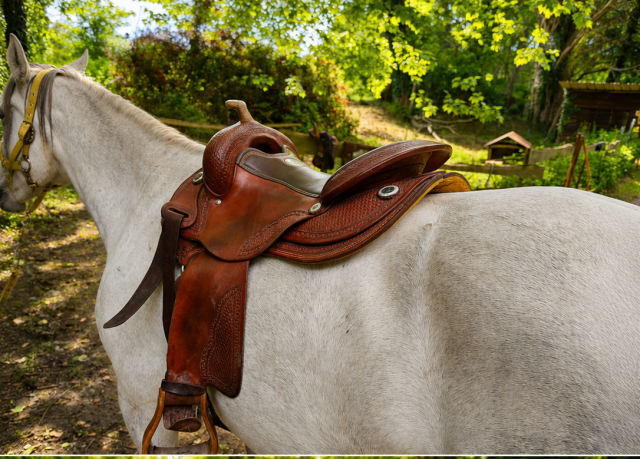 Selle western Deuber and Partner