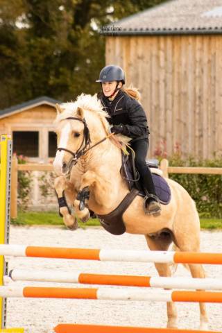 Splendide poney d’enfant