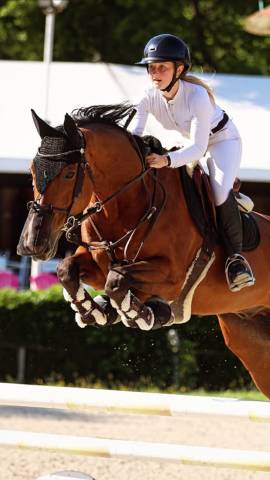 Cheval de 11 ans à vendre 