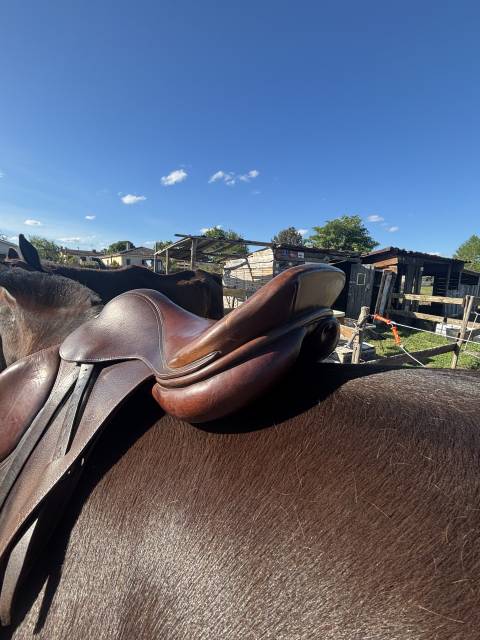 Selle cheval poney 