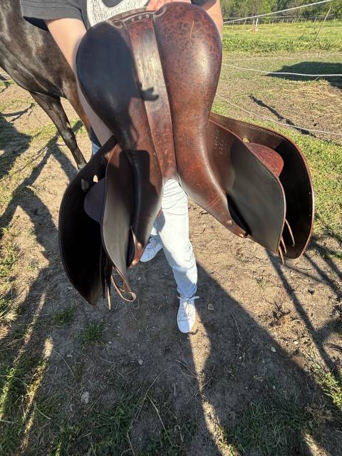 Selle cheval poney 