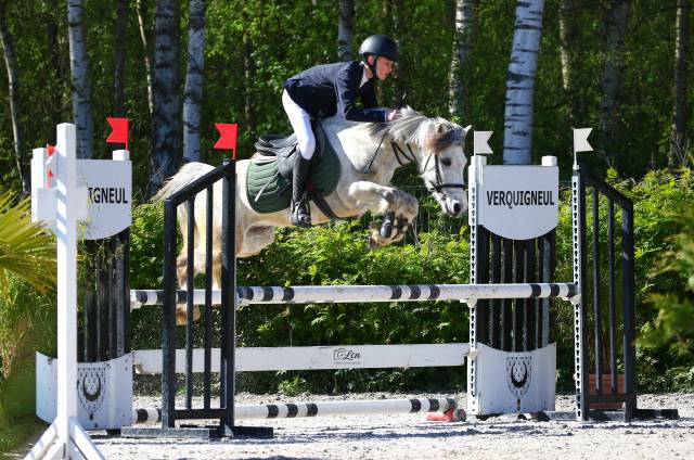 Poney c à vendre 