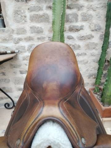 Selle dressage Antares