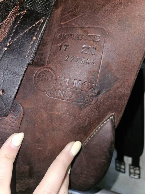 Selle Antares 