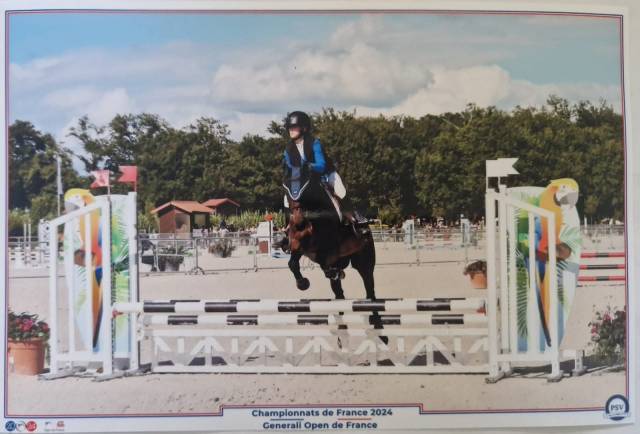 A louer poney d de sport maitre d’ école