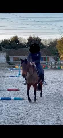 Ponette