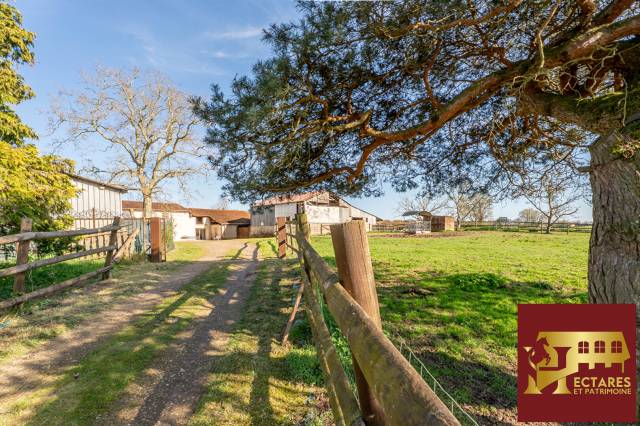 3,5 hectares et habitation rénovée