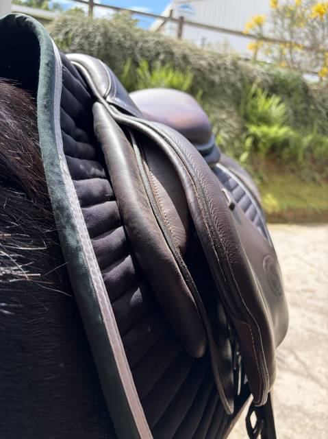 Selle d&rsquo;obstacle Forestier S&eacute;oul 