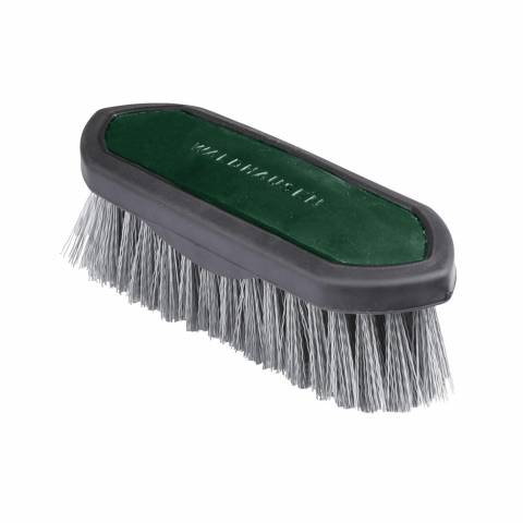 Brosse chiendent Synthetic - Waldhausen - Poils rigides