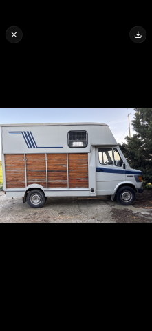Camion collection mercedes 