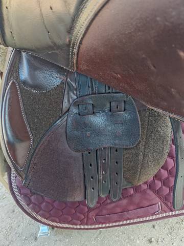 Selle mixte 17,5"